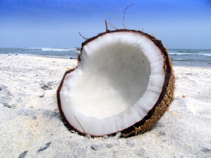 Coconut Coconut.jpg