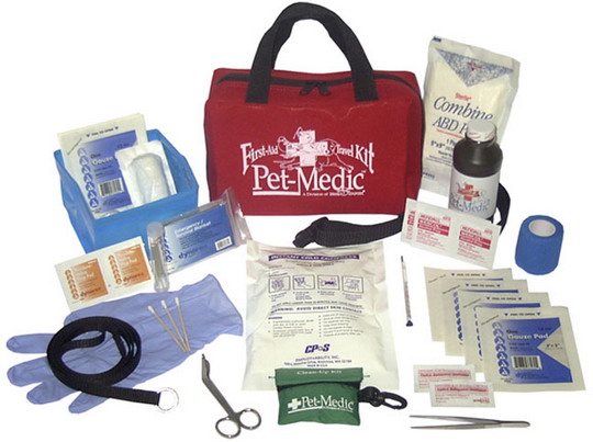 Deluxe_First_Aid_%26_Travel_Kit.jpg