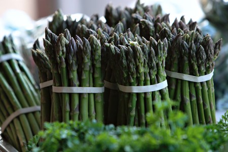 هيليون ، هليون ، الهليون asparagus