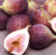 Ficus Caria figs_1.jpg