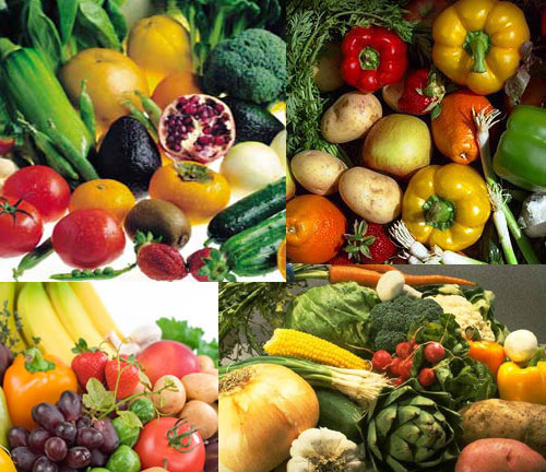 الطب البديل و العلاج البديل ، طب الأعشاب و النباتات ، التداوي و العلاج بالأعشاب التداوي بالنباتات الحبوب الزيوت ، الفواكه ، الخضراوات