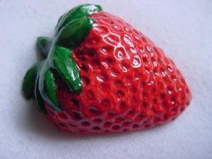 الفراولة الفريز – توت الارض – Strawberry