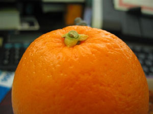 البرتقال Sweet Orange
