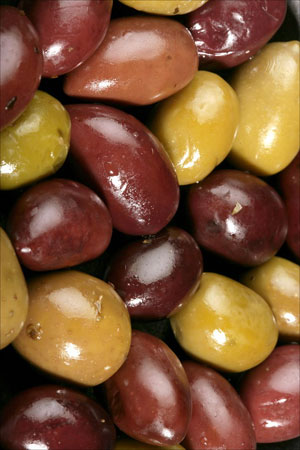 زيتون ، الزيتون Olive
